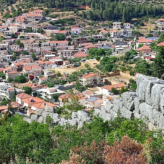 Ακραίφνιο
